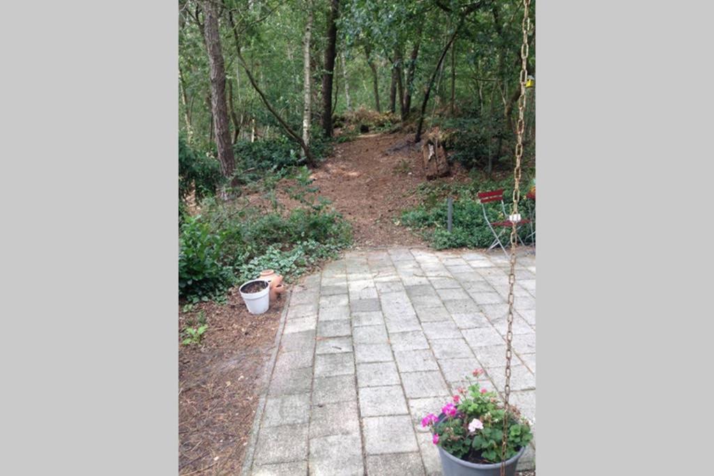 Chalet Met Veranda Aan Bosrand Vledder Exterior foto