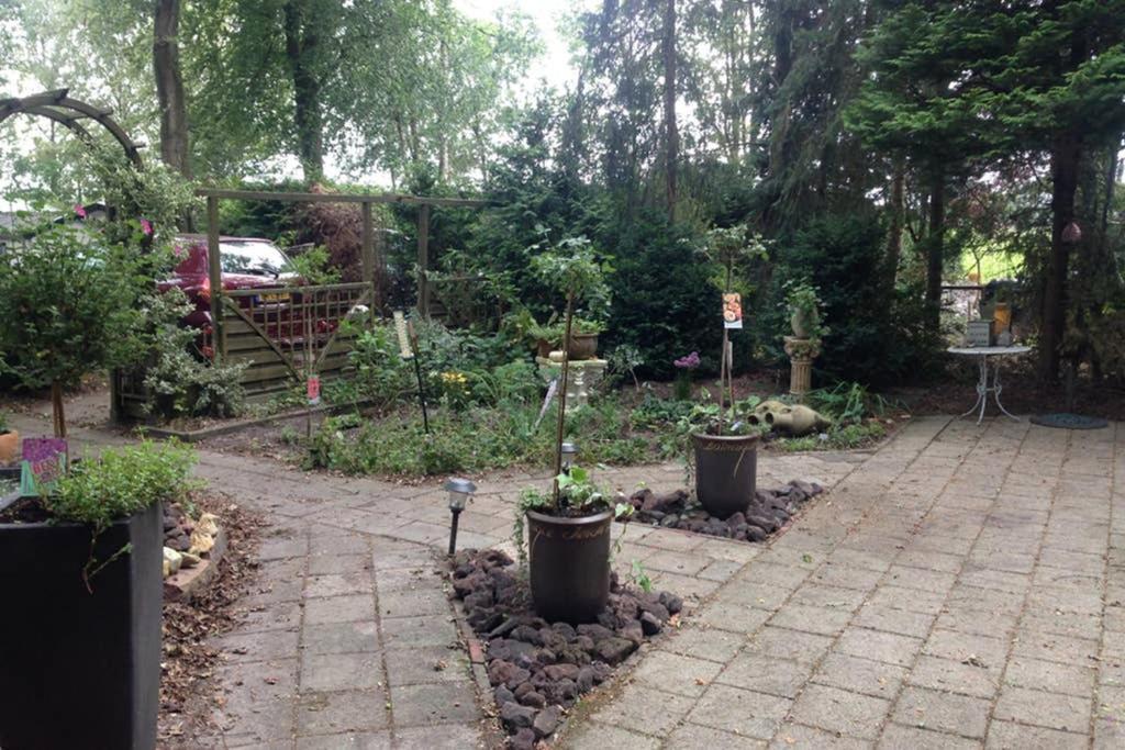 Chalet Met Veranda Aan Bosrand Vledder Exterior foto